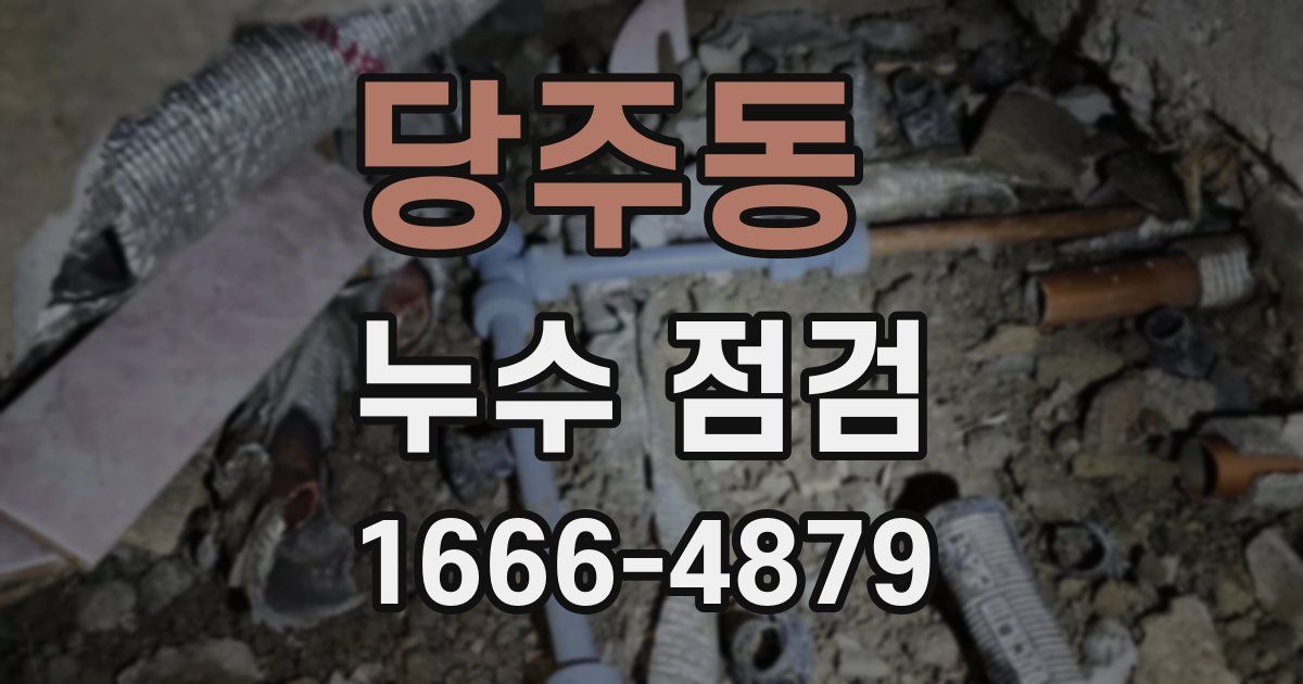 당주동 누수 점검
