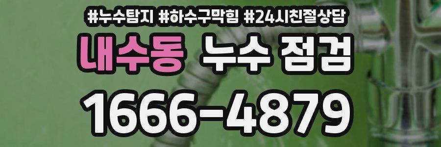 내수동 누수 점검