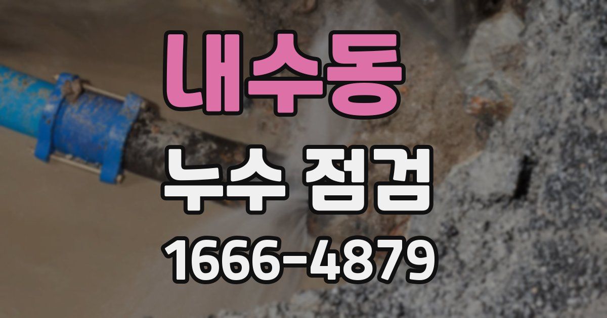 내수동 누수 점검