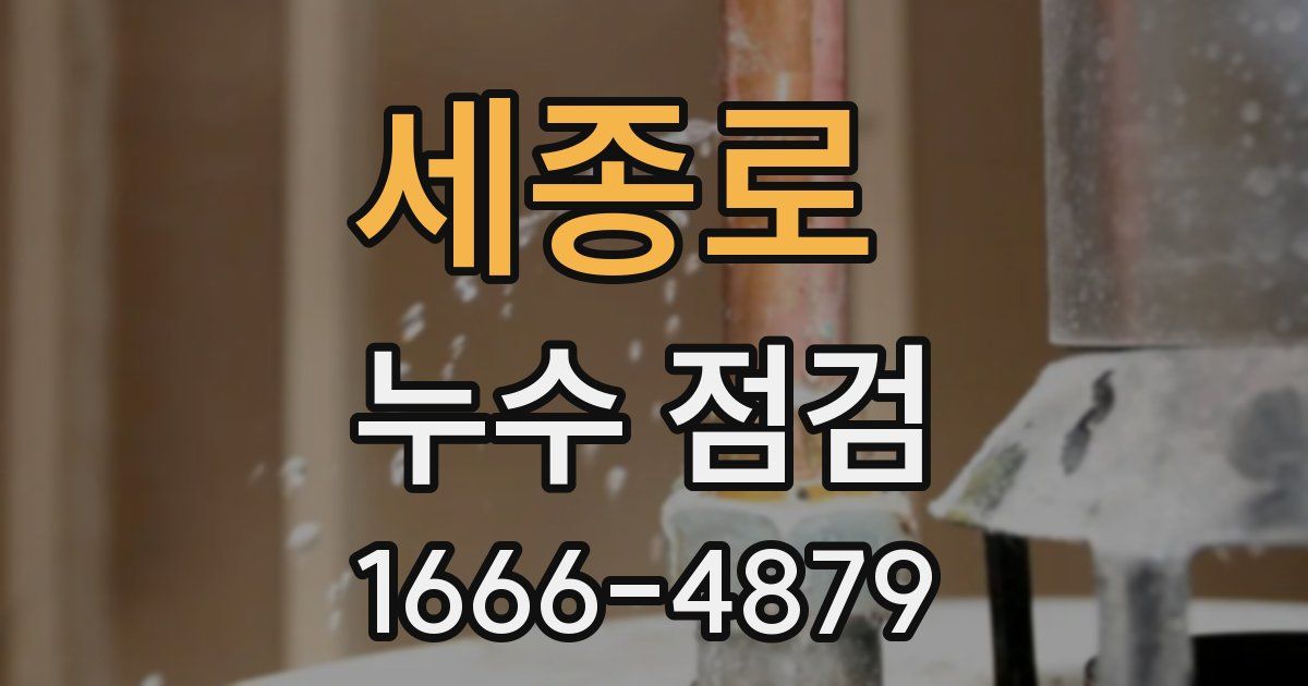 세종로 누수 점검