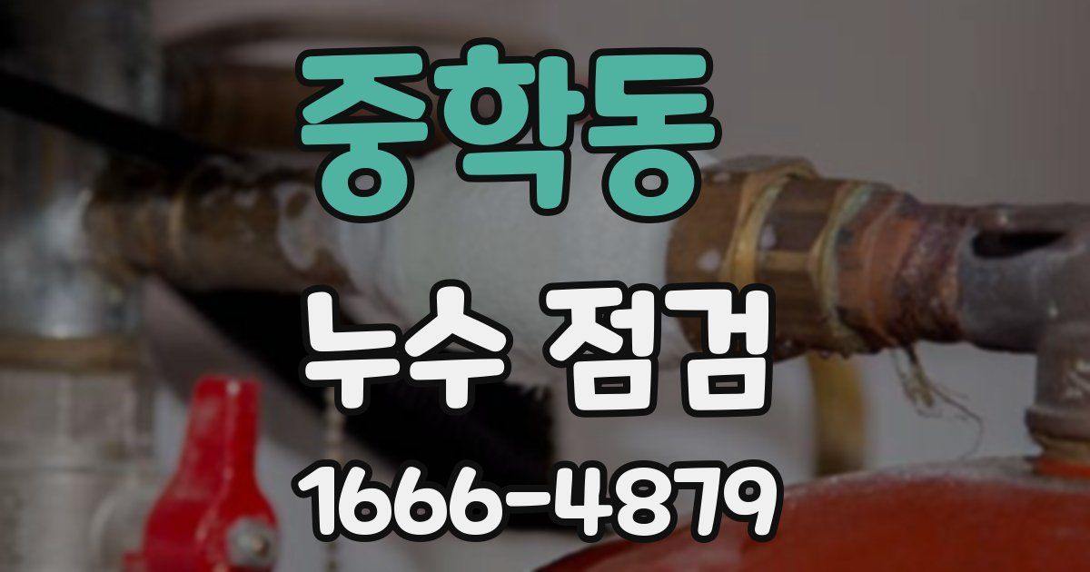 중학동 누수 점검
