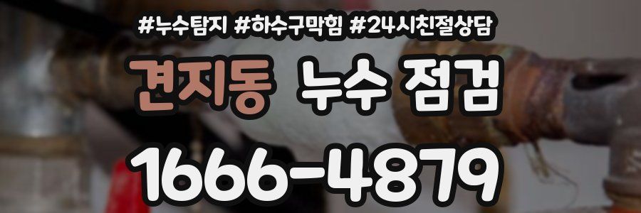 견지동 누수 점검