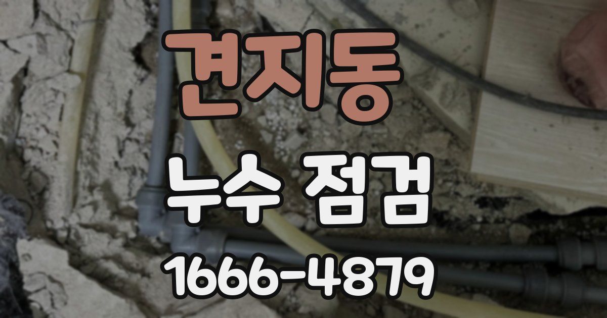 견지동 누수 점검
