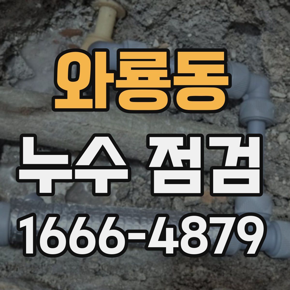 와룡동 누수 점검