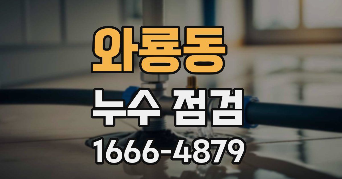 와룡동 누수 점검