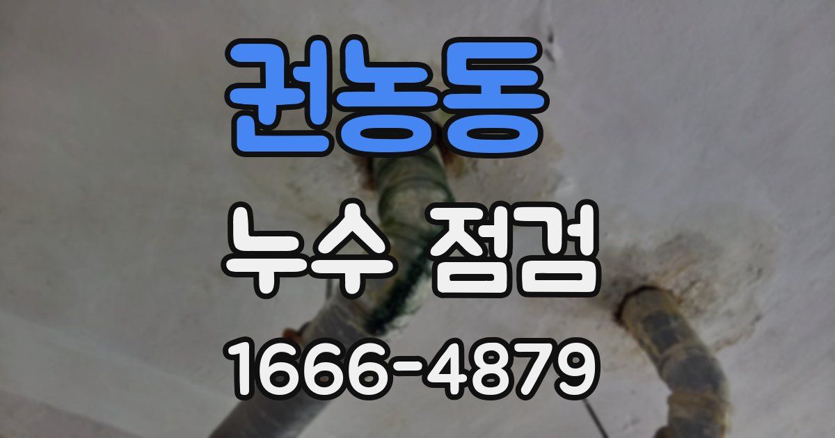권농동 누수 점검