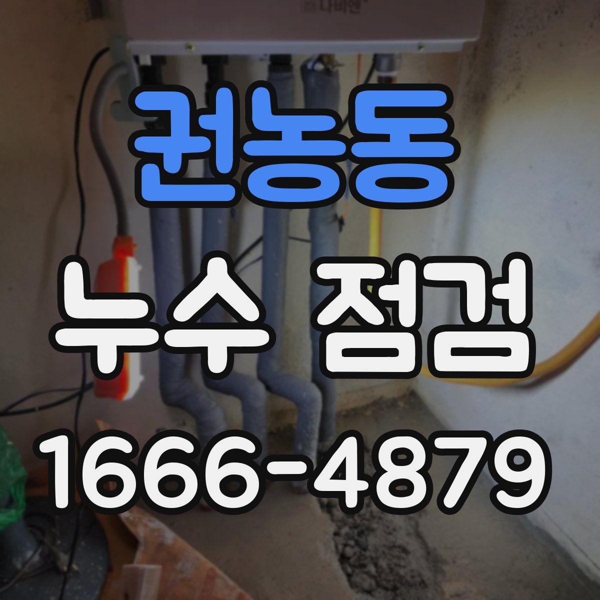 권농동 누수 점검