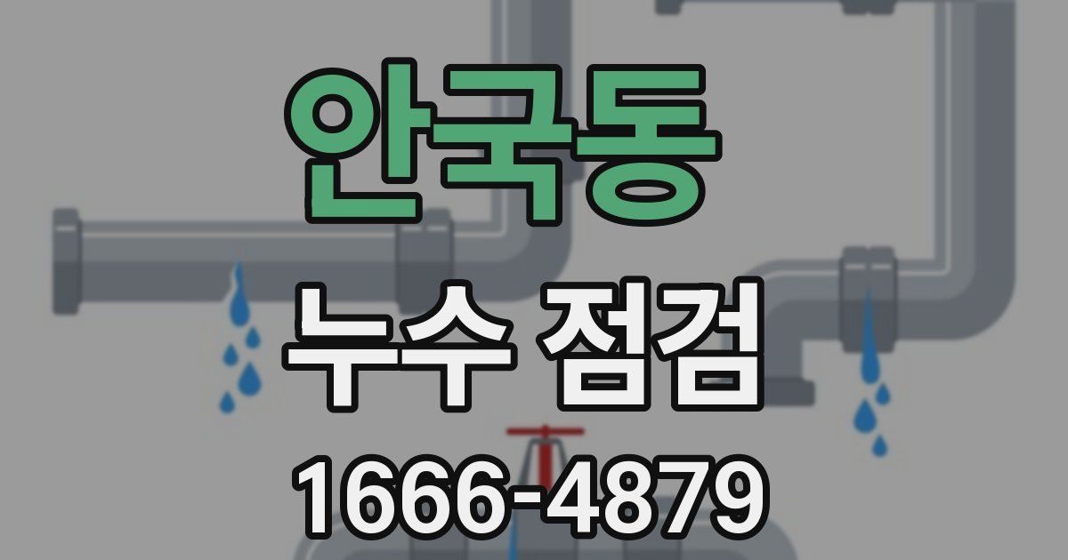 안국동 누수 점검