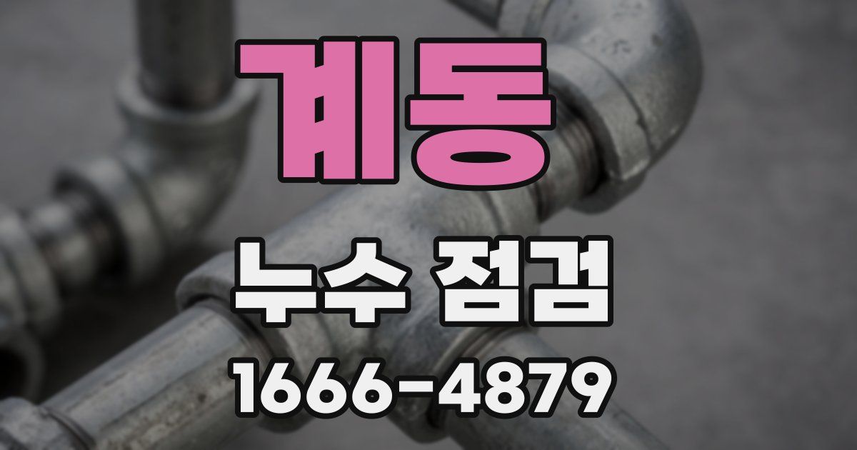 계동 누수 점검