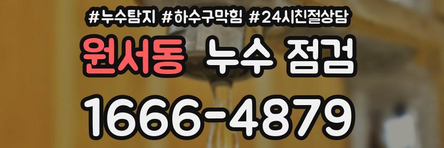 원서동 누수 점검