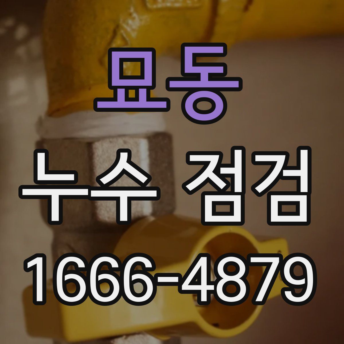 묘동 누수 점검