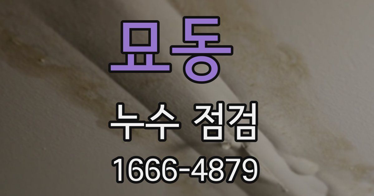 묘동 누수 점검
