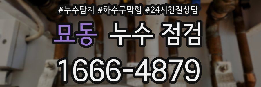 묘동 누수 점검