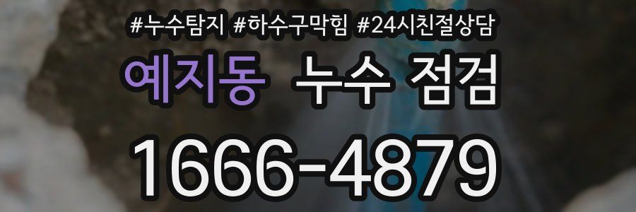 예지동 누수 점검