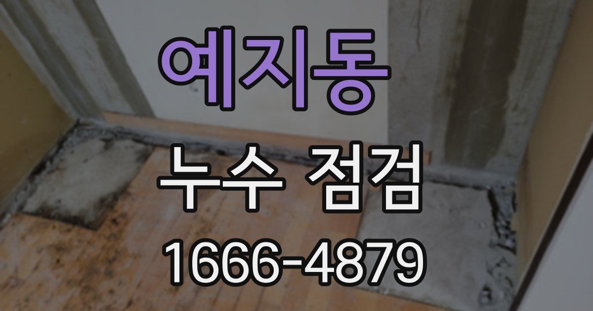 예지동 누수 점검