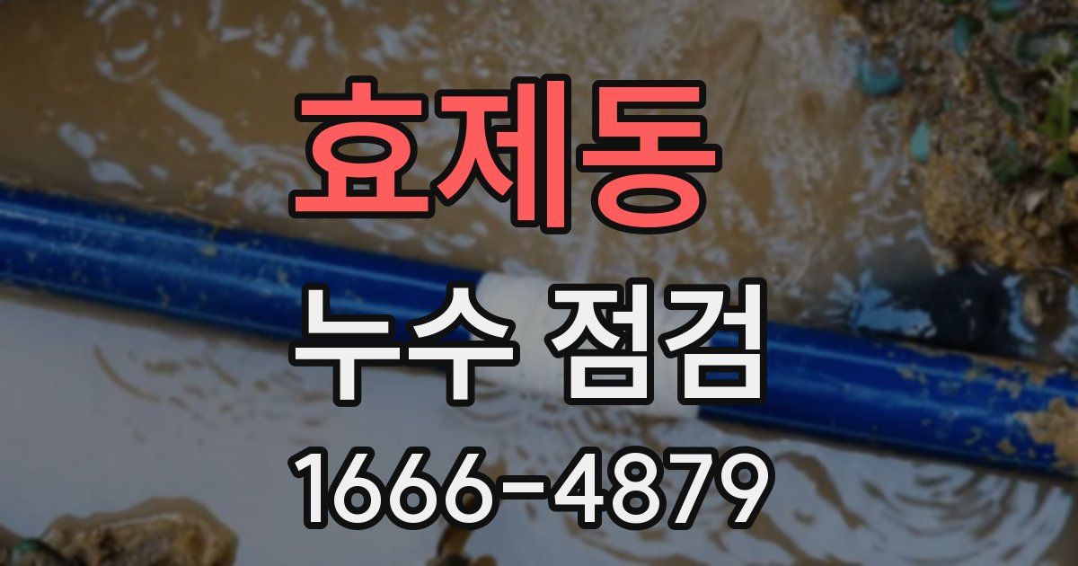 효제동 누수 점검