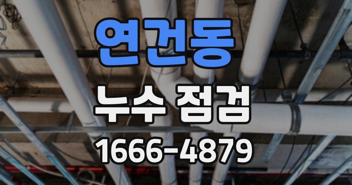 연건동 누수 점검