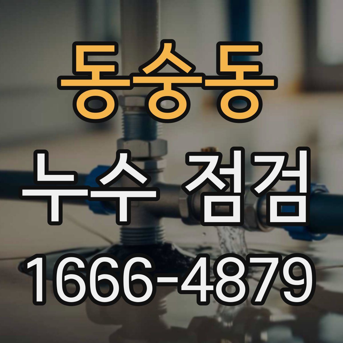 동숭동 누수 점검