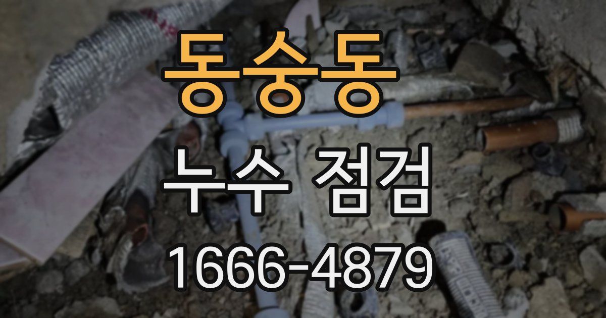 동숭동 누수 점검