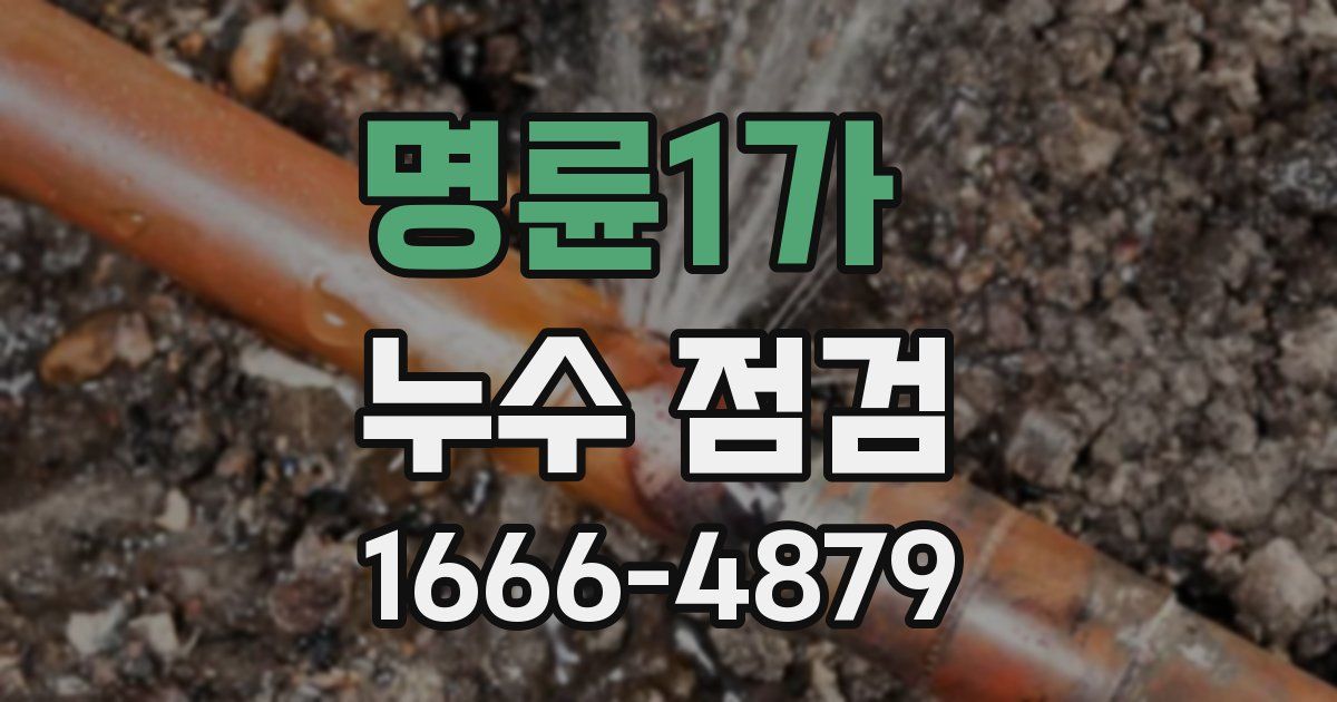 명륜1가 누수 점검