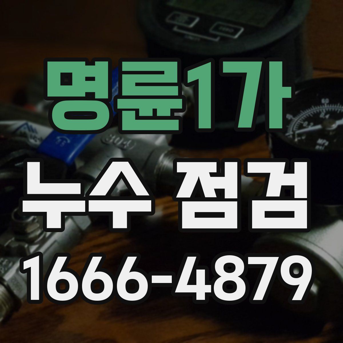 명륜1가 누수 점검