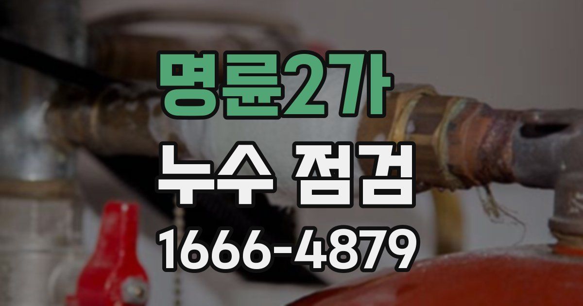 명륜2가 누수 점검