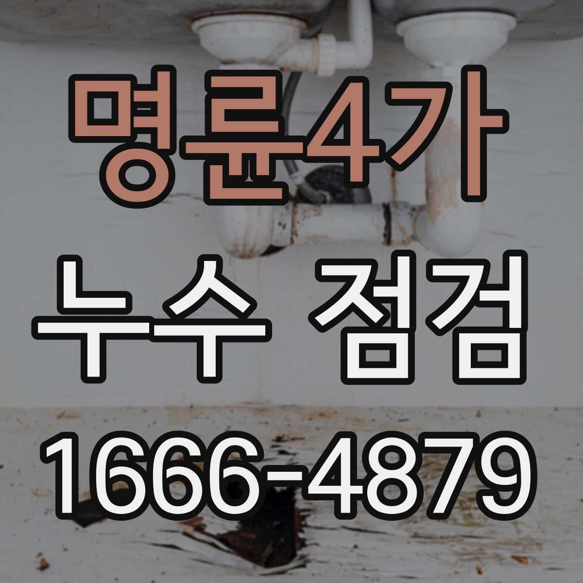 명륜4가 누수 점검