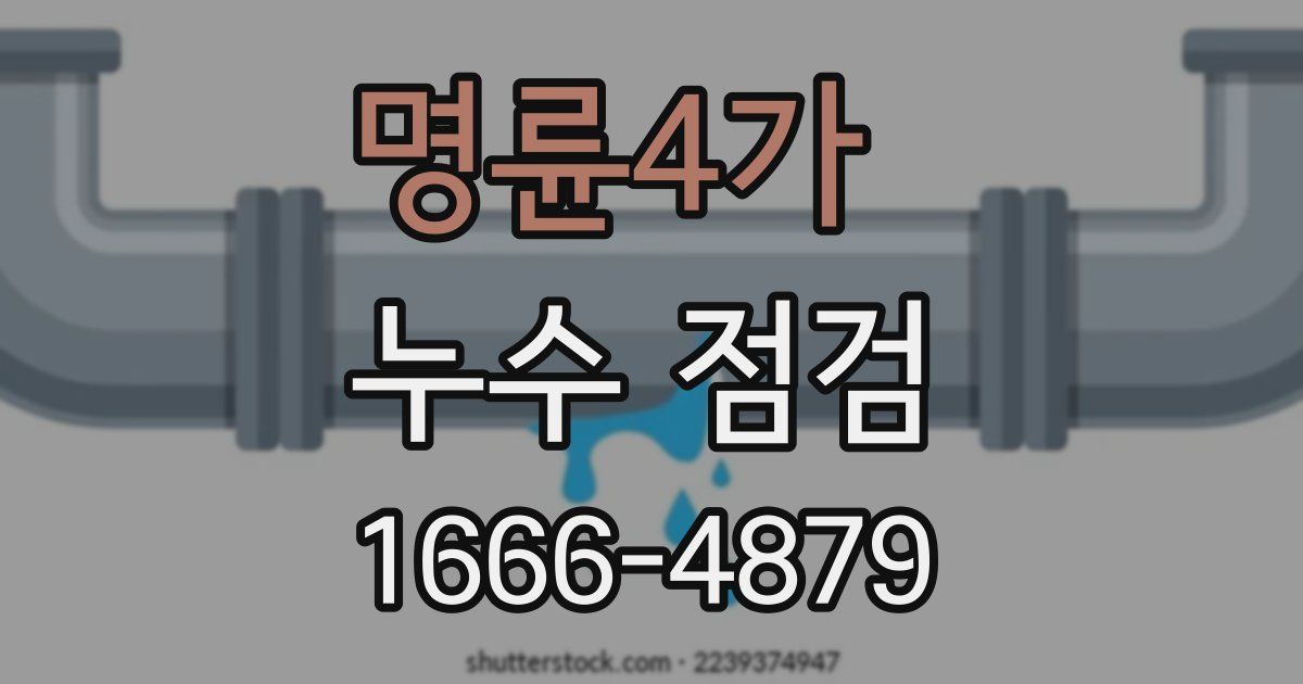 명륜4가 누수 점검