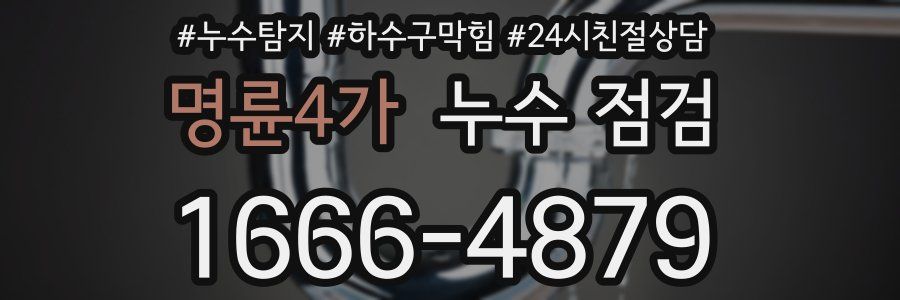 명륜4가 누수 점검
