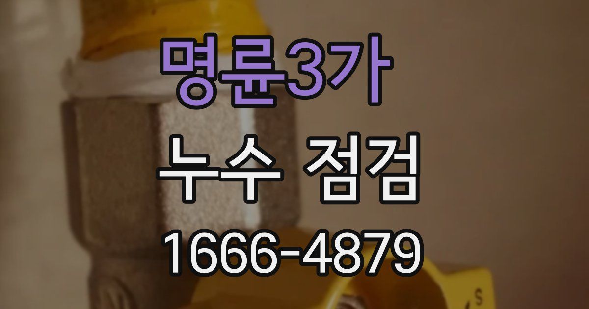 명륜3가 누수 점검