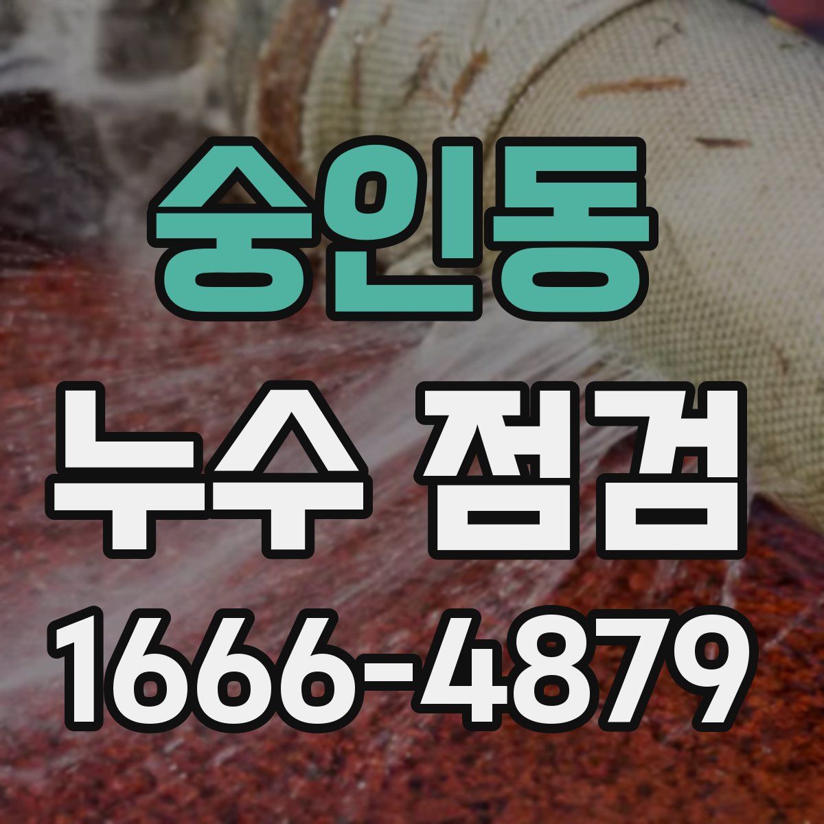 숭인동 누수 점검