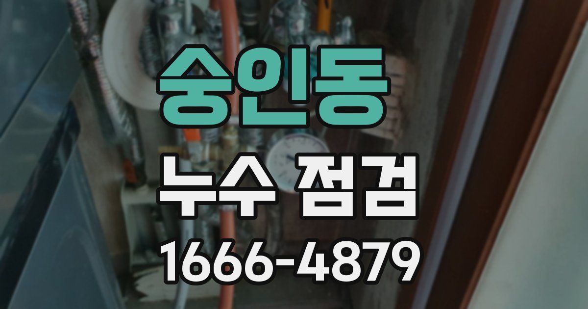숭인동 누수 점검