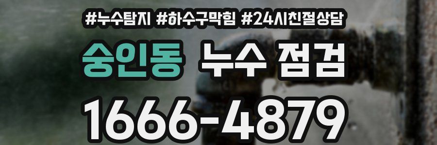숭인동 누수 점검
