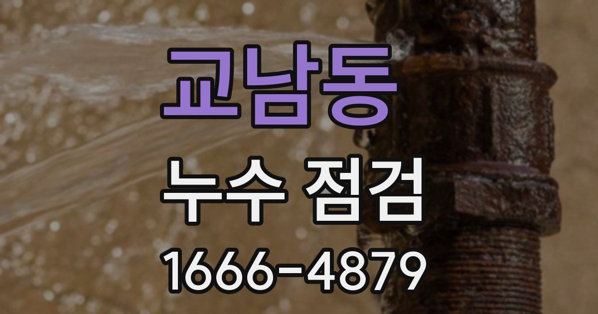 교남동 누수 점검