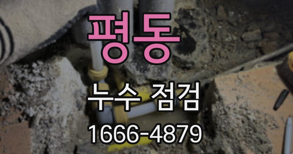 평동 누수 점검