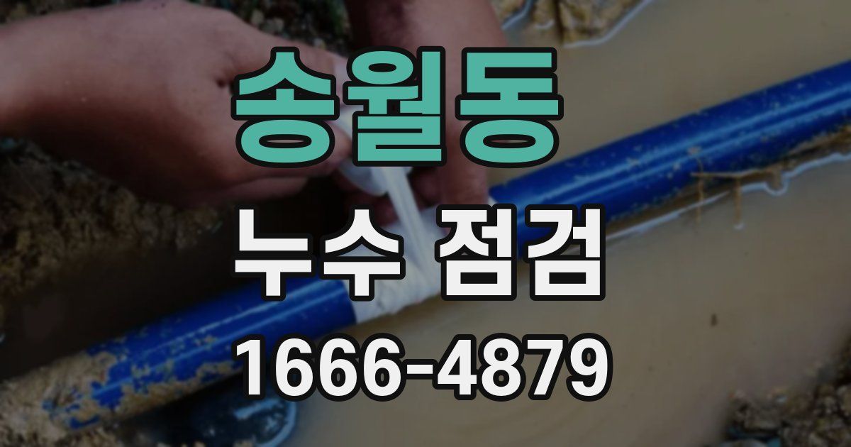 송월동 누수 점검