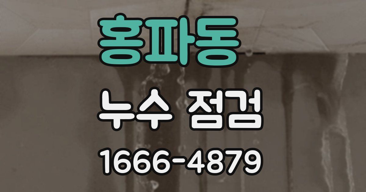 홍파동 누수 점검