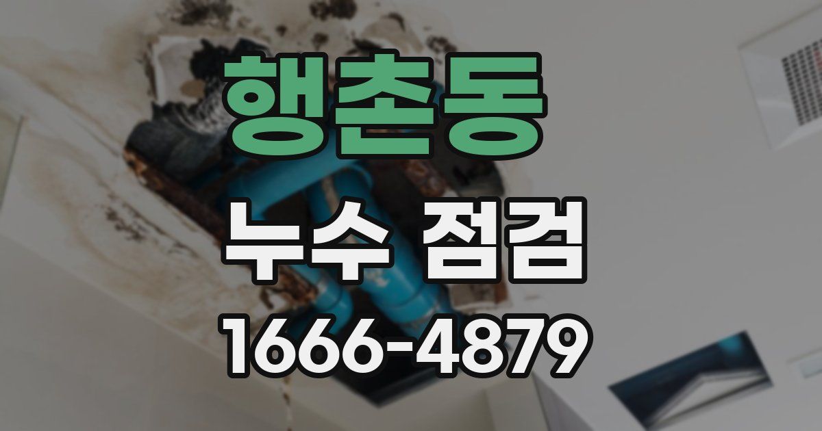 행촌동 누수 점검