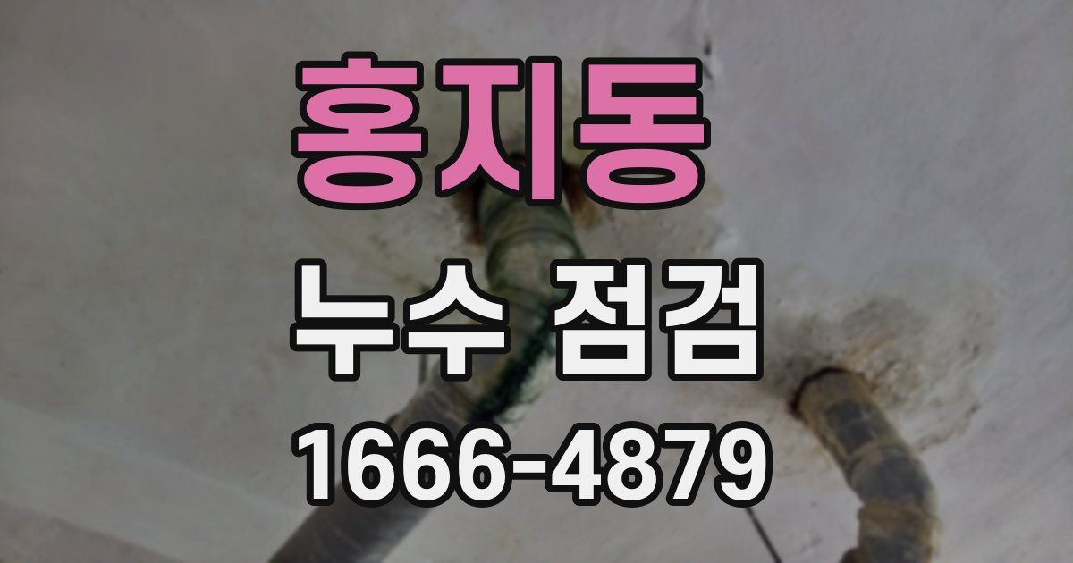 홍지동 누수 점검