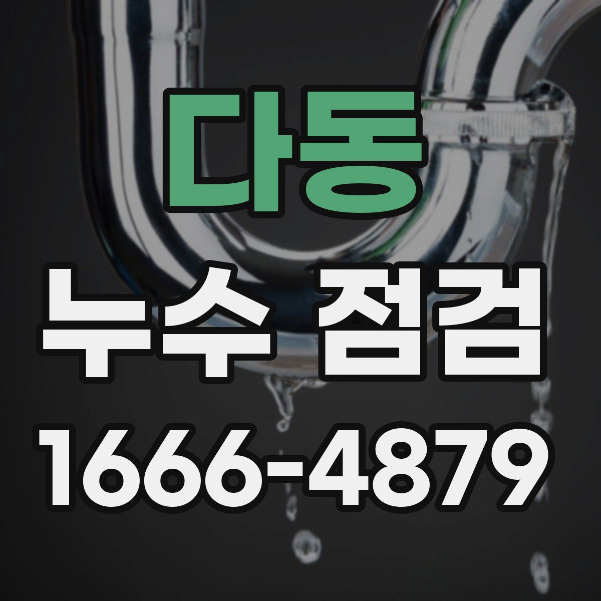 다동 누수 점검