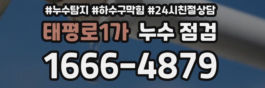 태평로1가 누수 점검