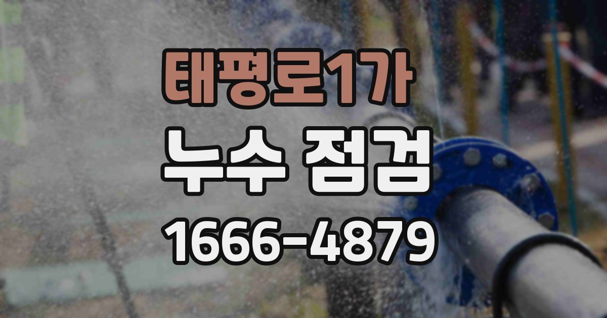 태평로1가 누수 점검