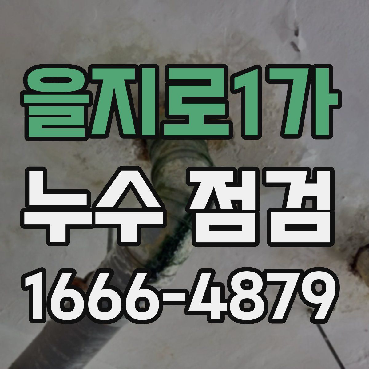을지로1가 누수 점검