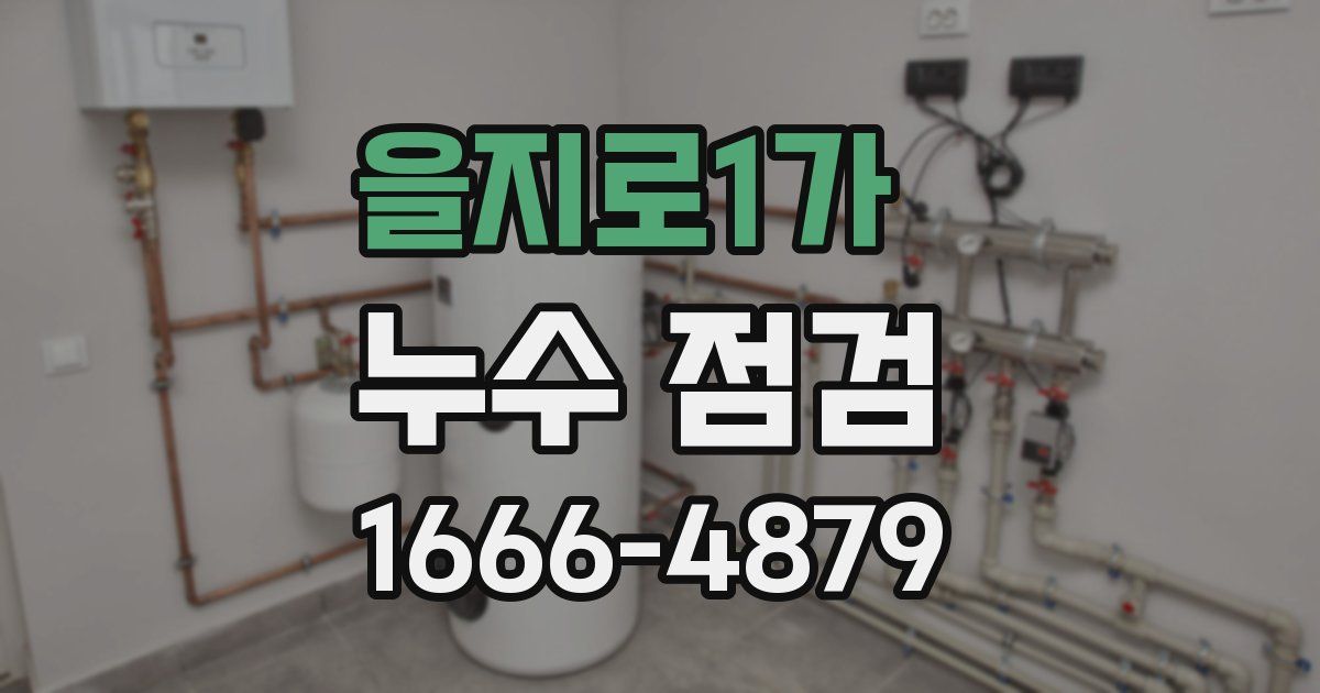 을지로1가 누수 점검