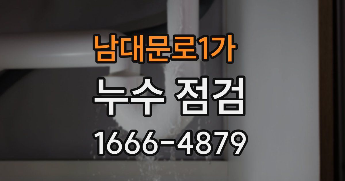 남대문로1가 누수 점검