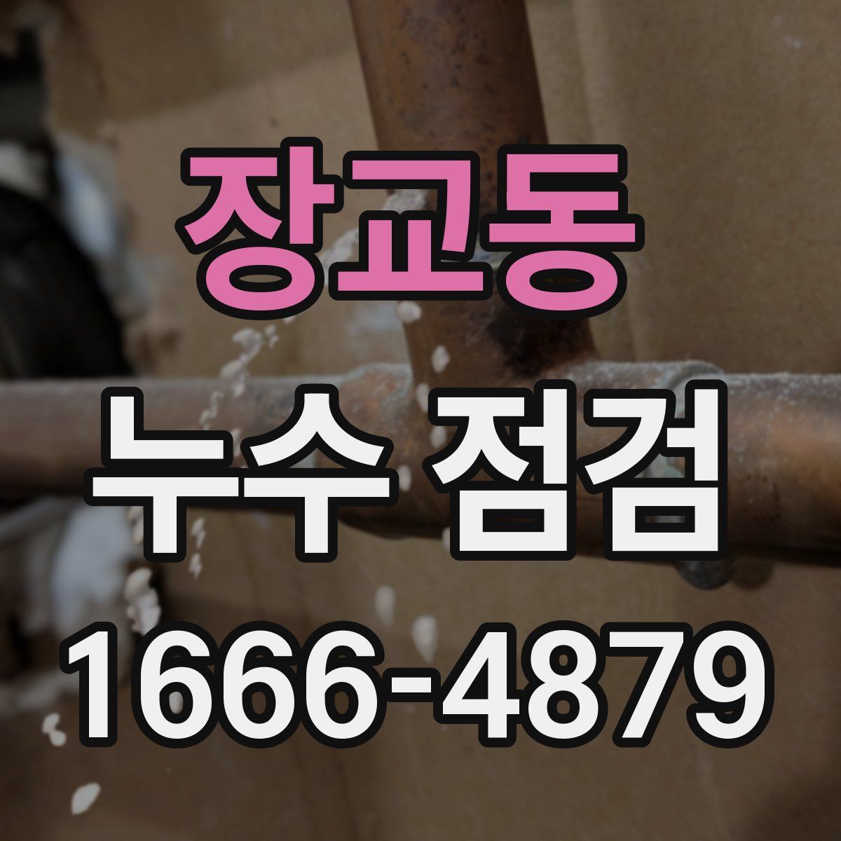 장교동 누수 점검