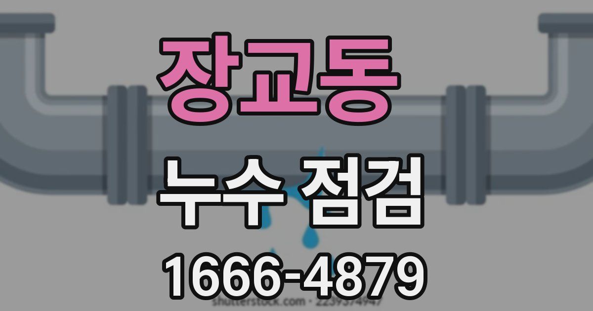 장교동 누수 점검