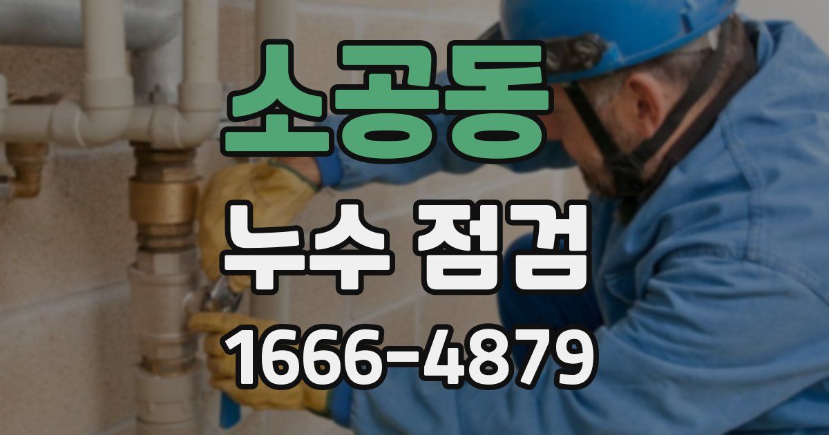 소공동 누수 점검
