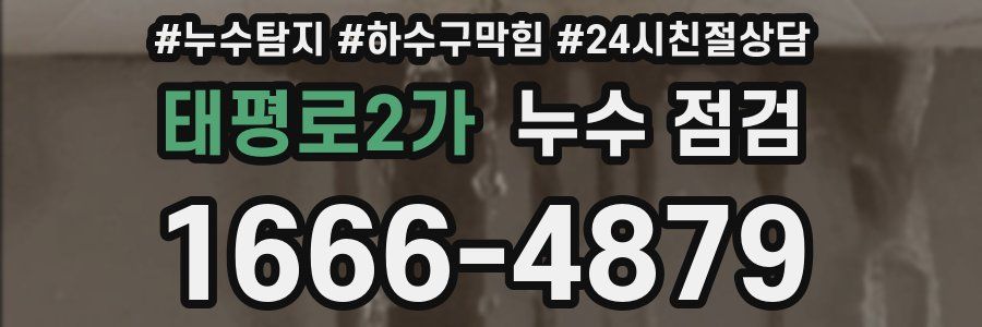 태평로2가 누수 점검