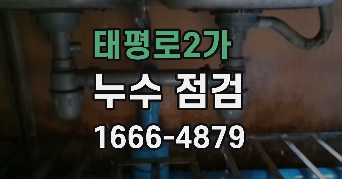태평로2가 누수 점검